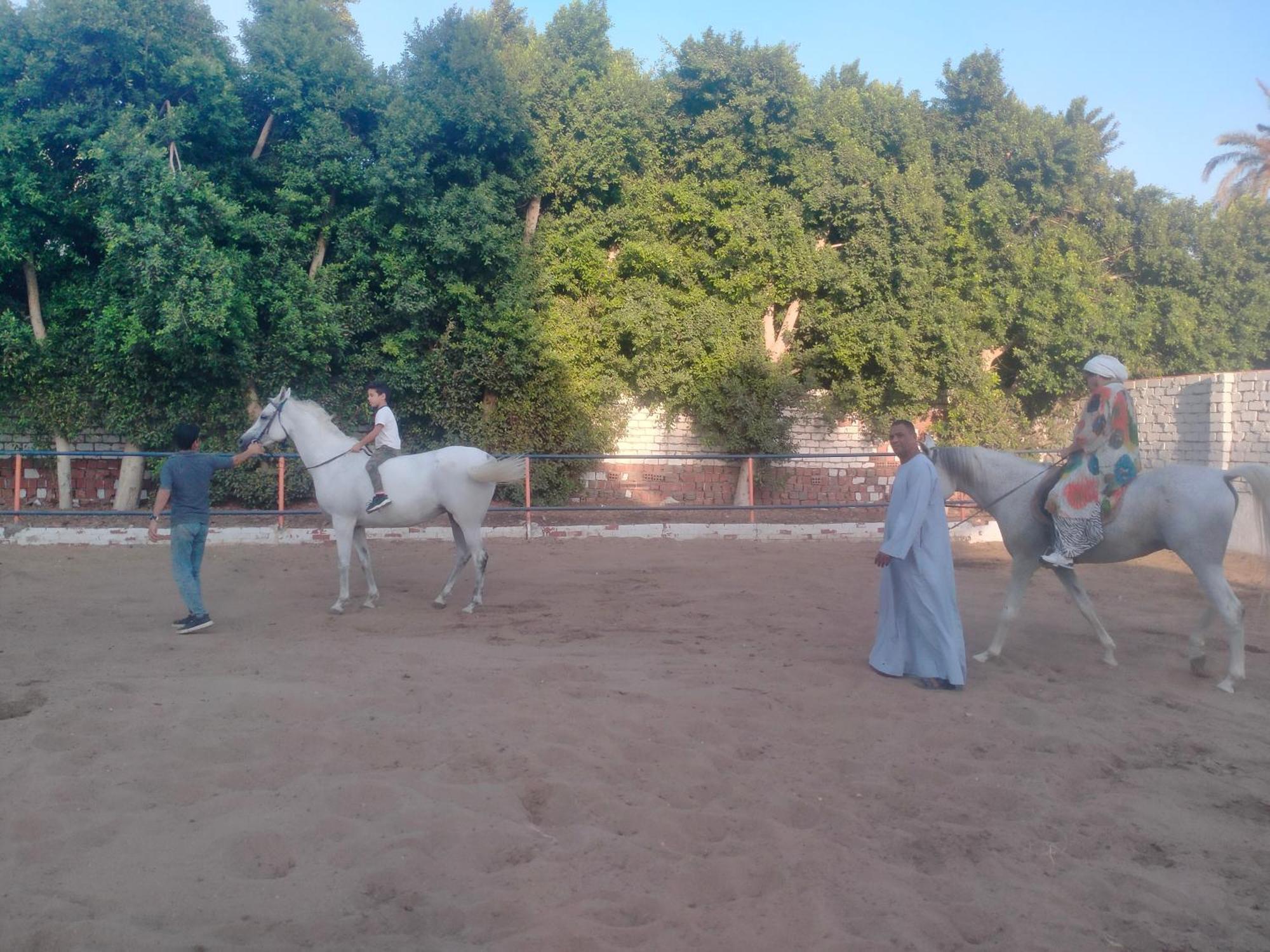 Seror Guest House El Hawamdeya Kültér fotó
